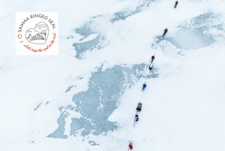 Erfahrungen am Eis bedäckten see. Schnee schaufeln, um gefährdete Robbenbabys zu retten 